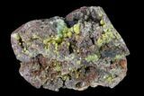 Mimetite Crystal Cluster - Congo #148445-1